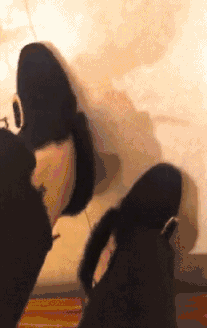 |搞笑GIF段子:网上新买的鞋子,这掉色程度真是吓人啊