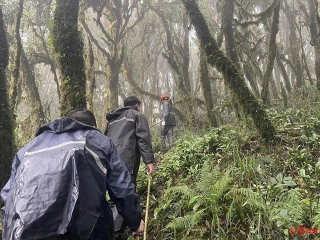 八十年代|“我曾穿越哀牢山，对他们的不幸有很多不解”