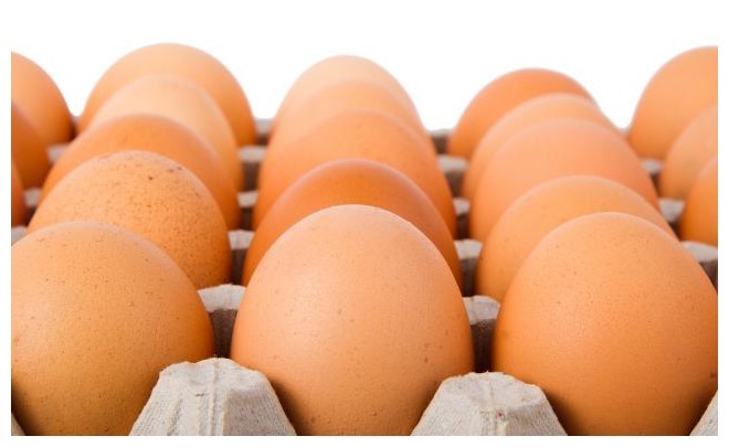 买鸡蛋，是选红壳的还是白壳的养鸡户告诉你，别再买错了