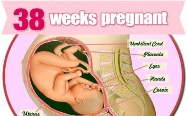 妊娠|剖腹产为何要在孕38周而不是40周别看只差两周,差距不是一点点