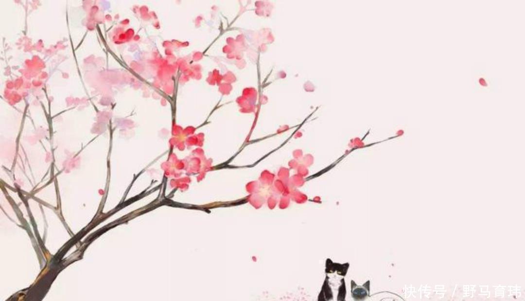 春晓|晚年元稹回想初恋崔莺莺,写下的这首《春晓》,感动了无数的读者