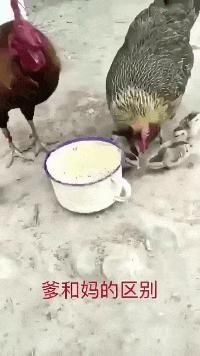 男生|为什么很多男生其貌不扬,但女友却很漂亮呢?网友神回复亮了哈哈哈哈