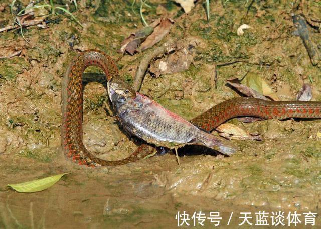 野钓意外死亡原因排行，这几个习惯钓友真的不能有