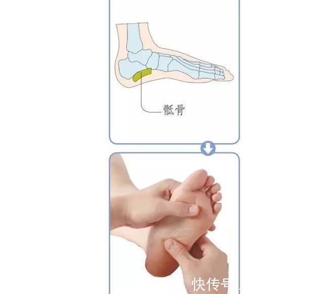 足底|揭秘足底养生密码10个特效反射区,活血通络补五脏,通调全身病