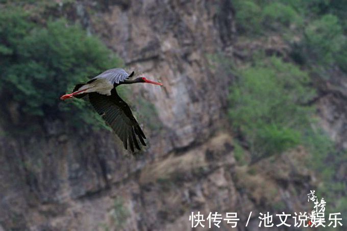 景区|北京人最爱去的避暑胜地，是国家五A景区，王菲还曾在这里约会