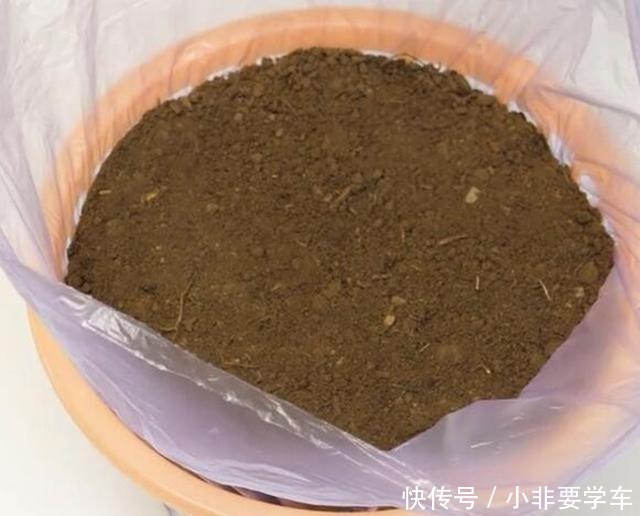 一个垃圾桶，能种出一桶蒜！多到吃不完，以后家里一年都不用买了！