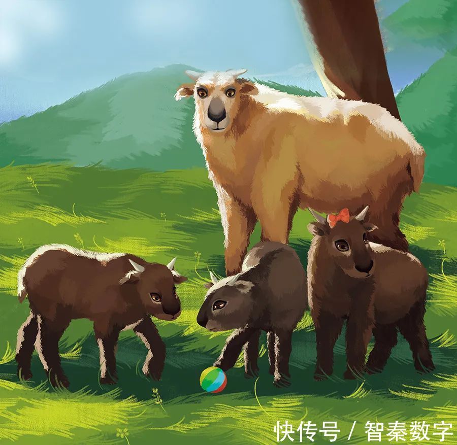 两米高|人与自然和谐共生教育:羚牛(上)