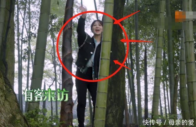 刘晓毅 杨紫跟张子枫唠家常,首位女嘉宾亮相,还跟张艺兴穿同款睡衣