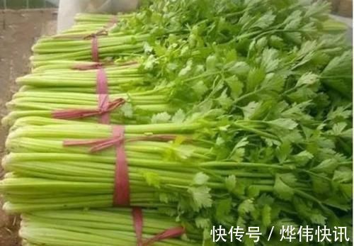 维生素c|会养生的人都会吃，常吃几种食物，排毒抗菌，滋补身体，谁吃谁好