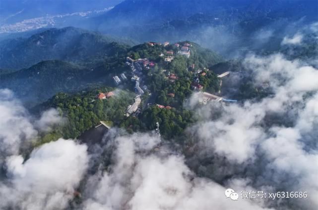 春光明媚，鸡公山风景区喜迎千人团队 踏青赏花 打卡鸡公山