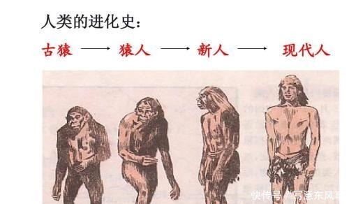 思考|看完易经的古老源头, 你会思考 人类到底是不是从猴子进化来的