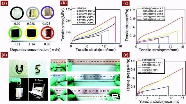 自愈|双网络水凝胶!超强自愈、保水、抗菌、粘附,专为透皮贴剂设计