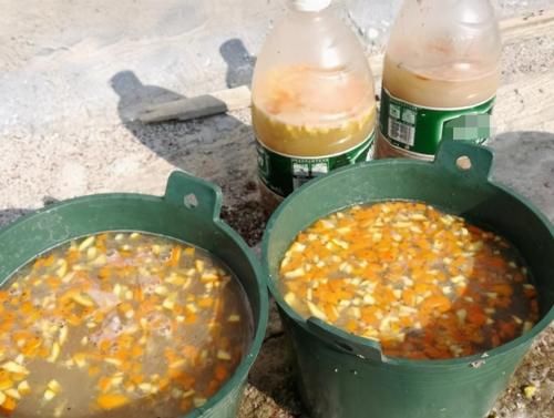 养花易出问题的地方真多！肥水土光，哪一个细节都不能遗漏