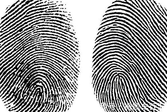 俗语!俗语:十指簸箕没有斗,下半句直接道出命运,可惜大多数人不知道