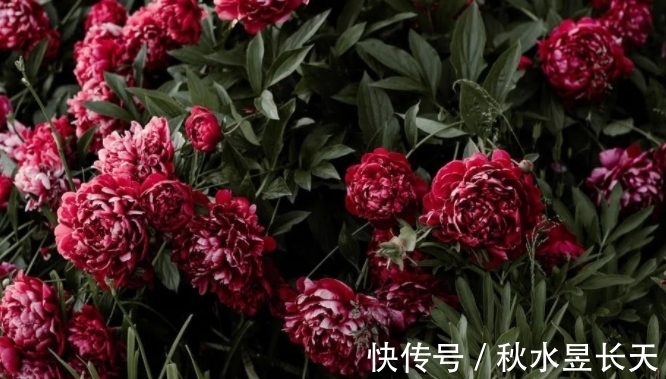 咸鱼翻身|未来1周,事业马到成功,财运畅通无阻,咸鱼翻身,生活焕然一新