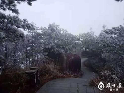 迎来|-2℃！九仙山迎来今冬首场雨雾凇！