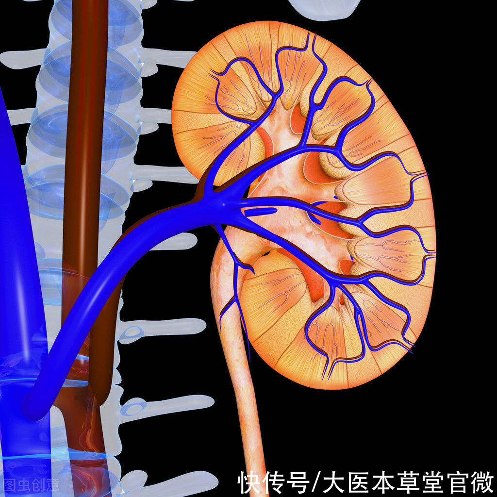 肾衰竭|肌酐高一点，肾脏真没啥事儿？若信了，只会剩下肾衰竭、透析