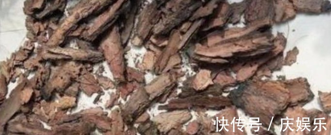 养花|出门捡块“它”,砸碎扔盆里,土壤疏松不板结,几年不换盆也能长