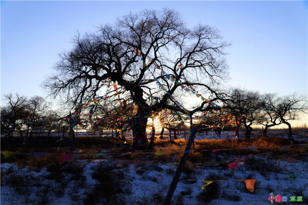 老年|行摄草原丨行走冬日最美山地草原 “科尔沁后花园”雪景壮美