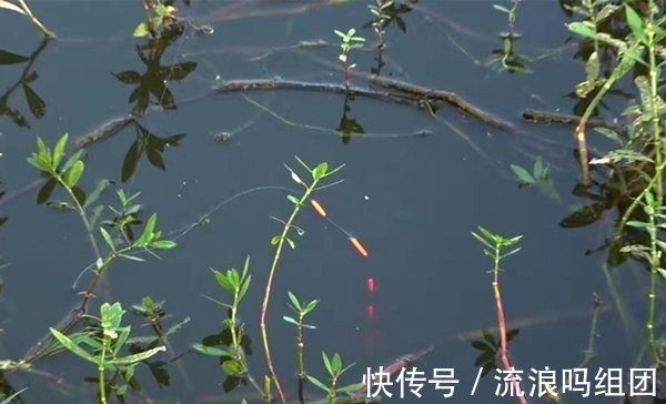 寒冬时节钓鲫鱼，常用这些钓法，钓到鲫鱼个头更大！