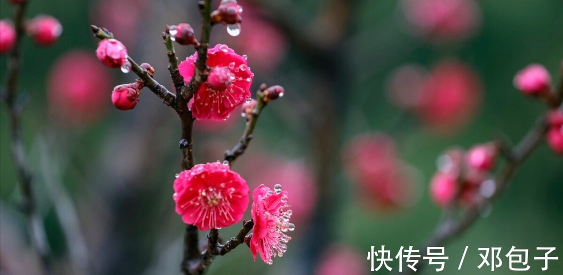 天涯@黄庭坚写于宜州贬所的一首咏梅词，直抒胸臆，风格疏宕，颇具韵味