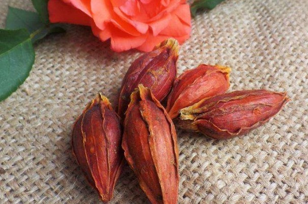 栀子|晚上睡不着不要急,用一物泡水喝,告别失眠,一觉到天亮