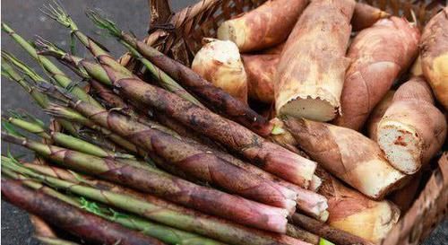  痔疮发作，痛苦难当？常吃这几种食物，痔疮可能悄悄远离你