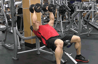 训练|对力量训练不了解,这几个动作教程,非常适合健身初学者