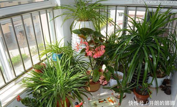 透水孔|老花农透露6个养花技巧！学会后，花草养的旺，年年受用！