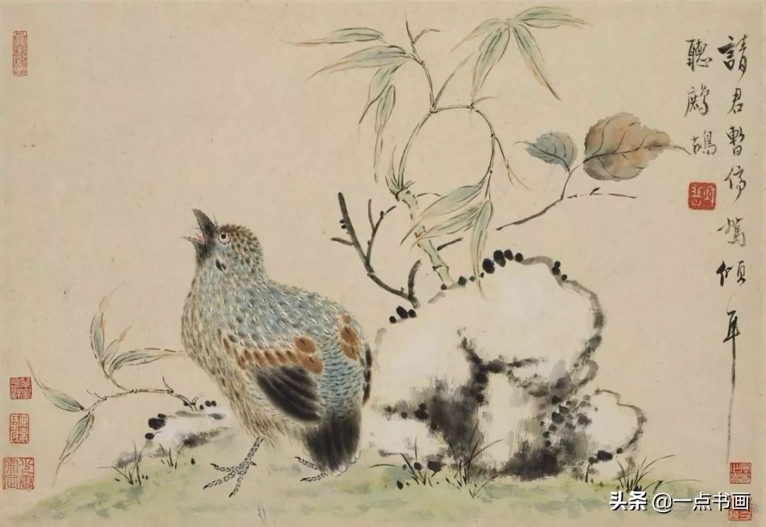 草虫&华岩的花鸟画,独辟蹊径,令人耳目一新