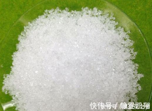 花期到了不开花用上1种“白粉末”，早晚浇一点，花多到压弯枝
