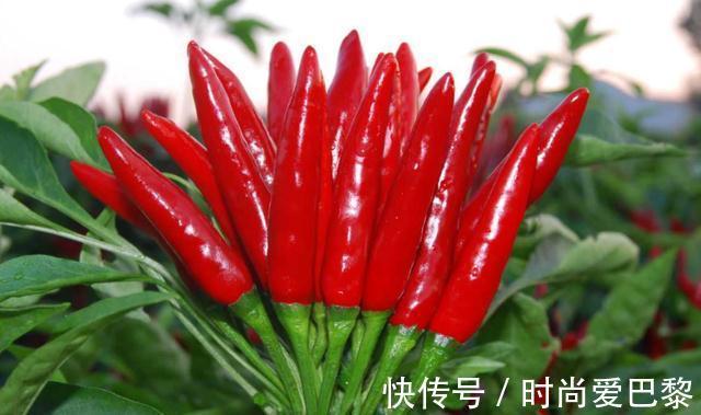 素食|高血压人群不能吃大蒜？医生提醒：这5种素食要少吃