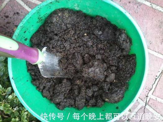 养花还用磷酸二氢钾2种废料家家有，就是磷钾肥