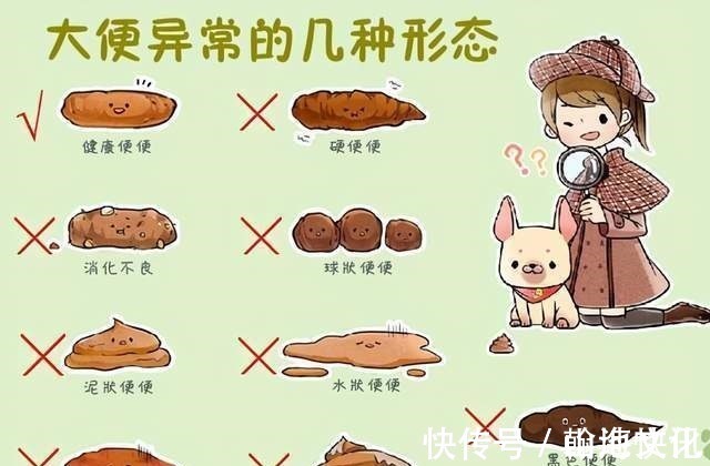 肠道健康|常吃4种食物,毁掉肠道健康,教你一个简单方法,识别肠癌