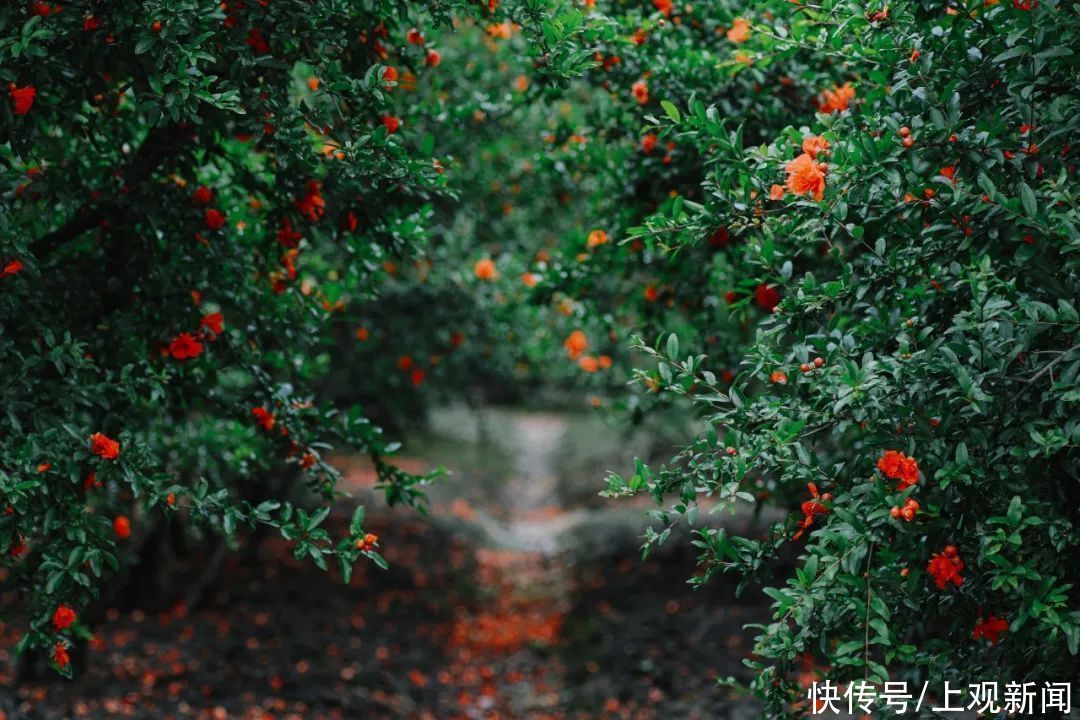 苦瓜|有美景有美食，这个小满让你幸福满满