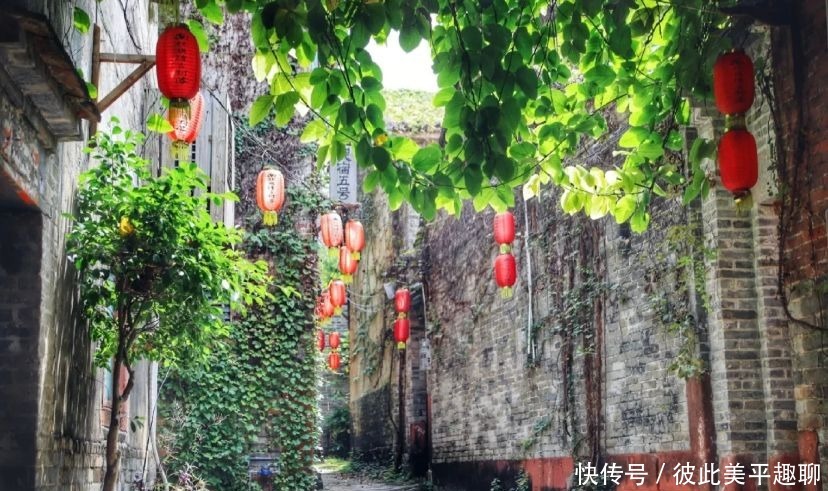 中年|东莞小众打卡地,大隐隐于市的古村落,转角遇见最美风景