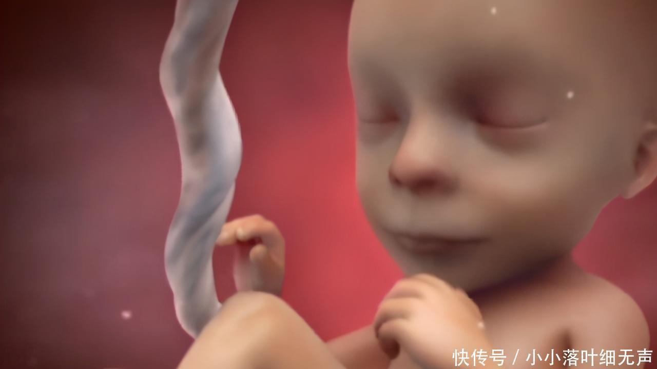 胎儿|孕期有这3个行为,容易导致胎儿脐带绕颈,孕妈别只顾着自己舒服