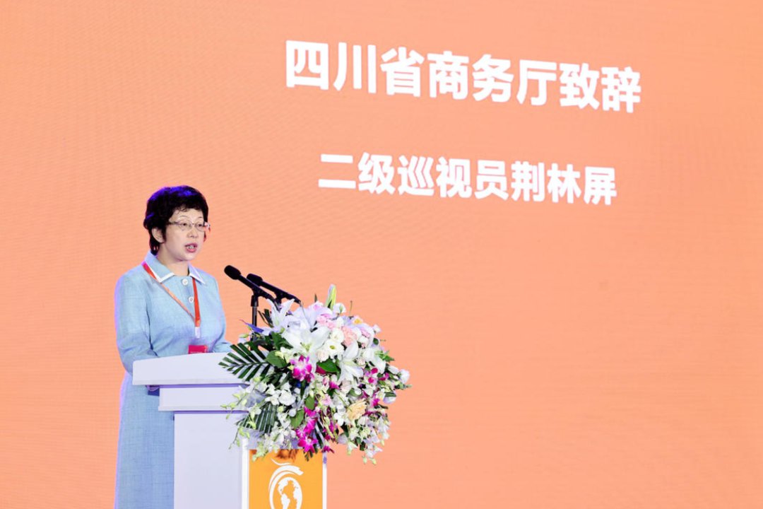 跨境电商|四川省商务厅二级巡视员荆林屏：跨博会将为四川乃至全国跨境电商带来新机遇