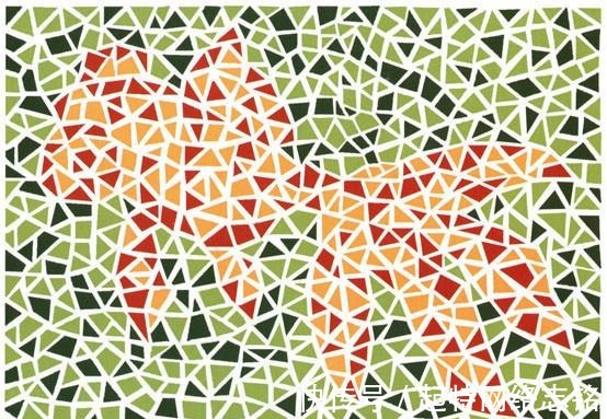 盆花|5张色觉测试图,第3张正着看是金鱼,斜着看是盆花儿