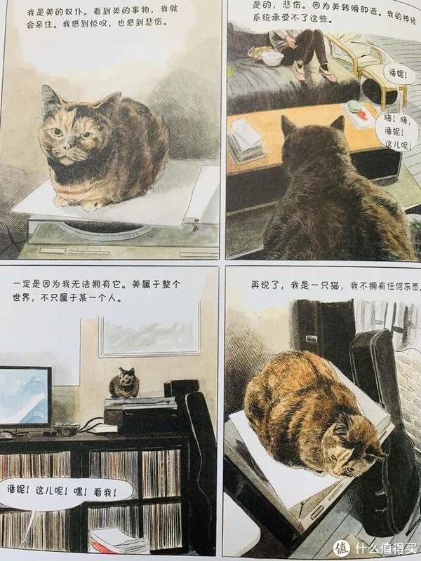 猫生|爆笑治愈的猫生漫画，你不是猫，你怎么知道猫怎么想？