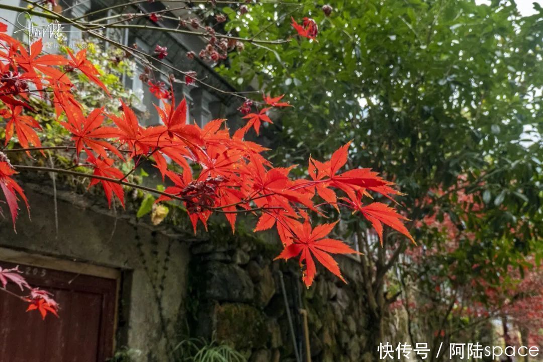 再次|再次邂逅独山古寨，却被它“门”前的风景惊艳到了