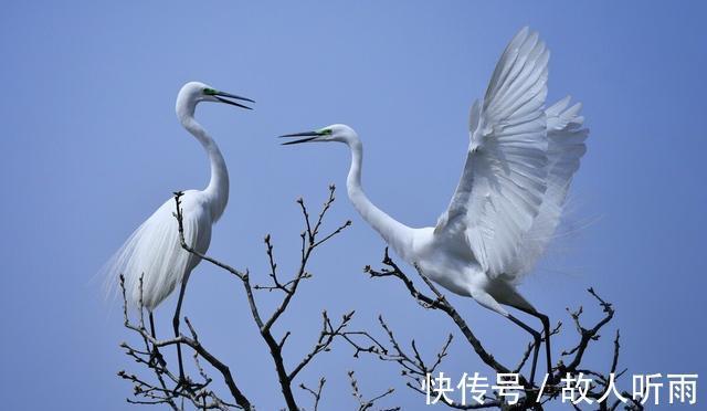 众人&聊斋故事:母神