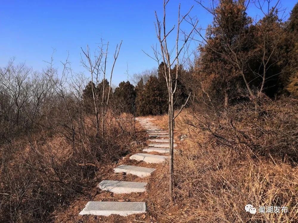 “天梯”串起山间美景！苏湾镇大寨山游客步行道即将开放！