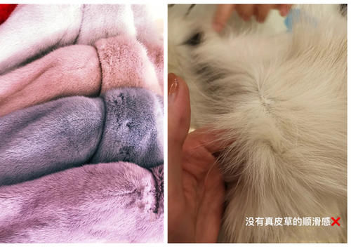 今年火了一种外套，保暖不输羽绒服、气质不输大衣，好看不挑人！