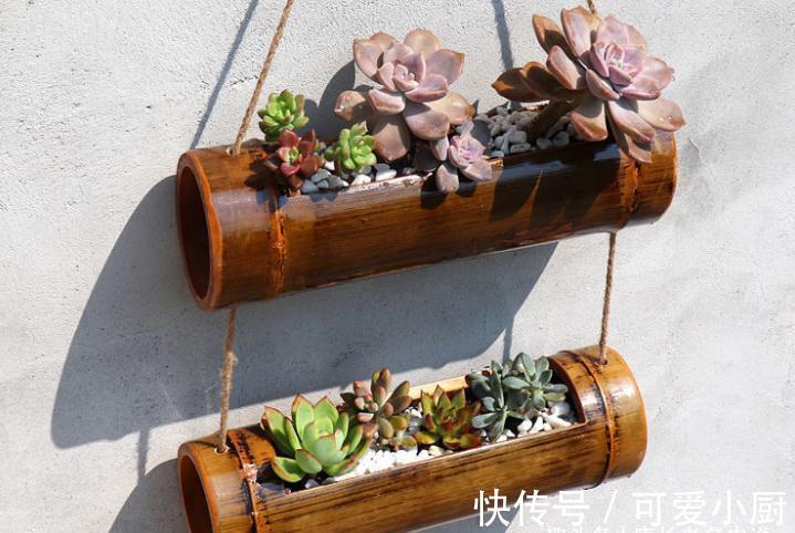 喜欢自己动手的肉友看过来,7种多肉自制花盆,你都玩过哪几种?