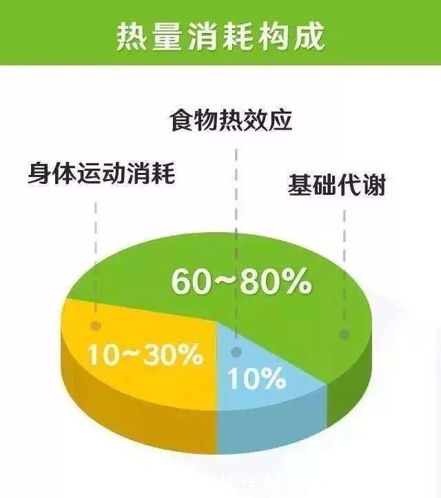 mct|3个“躺瘦”秘诀，让你吃饱喝足躺着瘦，但第一个就有人做不到