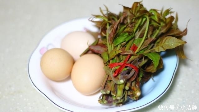 香椿百吃不厌，3种简单做法分享给你，好吃到爆，几十年都没吃够