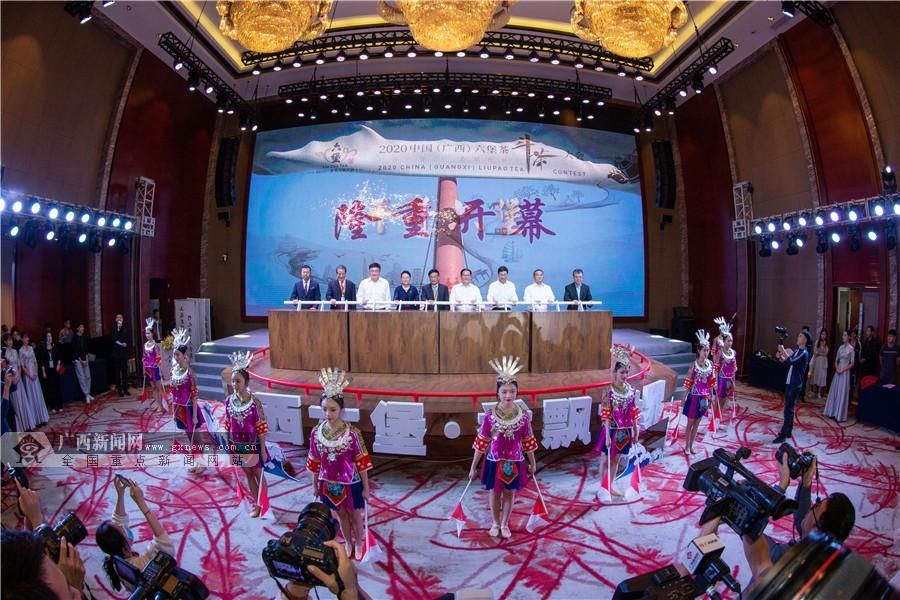 茶王争霸赛|品茶！斗茶！2020年第二届中国（广西）六堡茶斗茶大会开幕