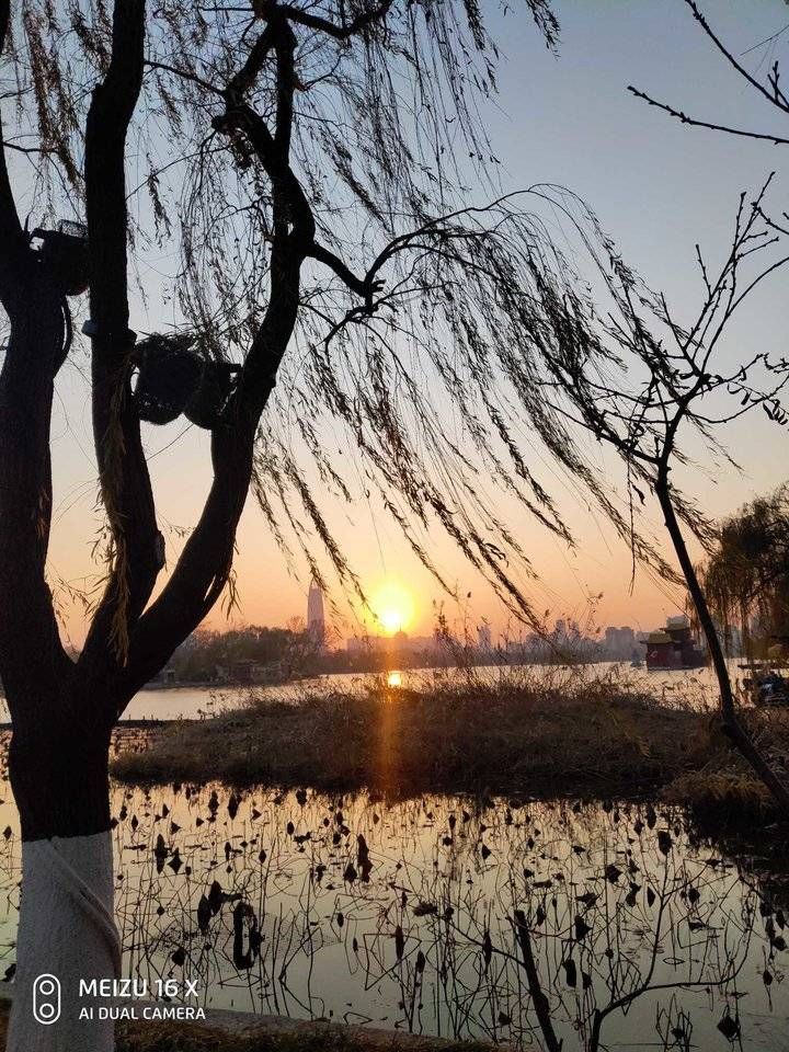 染红|夕阳染红大明湖，残荷展示冬日美