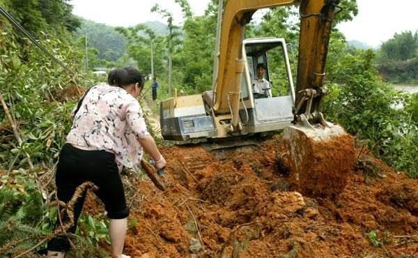 空隙|养花土不用买，3种“垃圾”掺一掺，就是营养土肥沃流油，养花棒